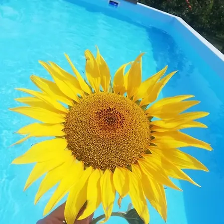 Hoopovo House Fruska Gora Villa *