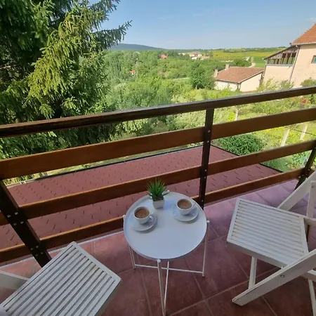 Hoopovo House Fruska Gora Irig