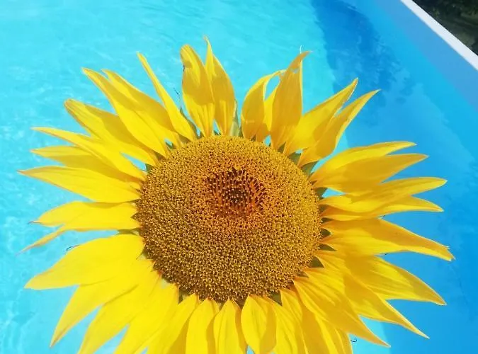 Hoopovo House Fruska Gora Вилла *