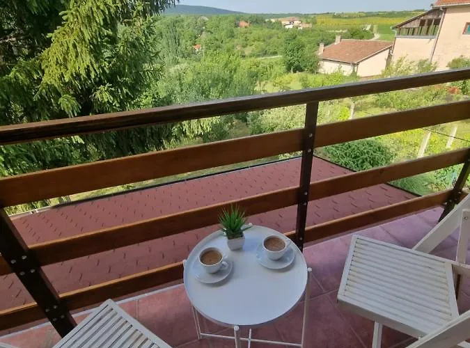 Hoopovo House Fruska Gora Irig