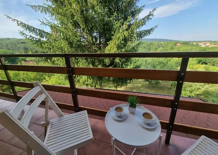 Hoopovo House Fruska Gora Вилла Irig